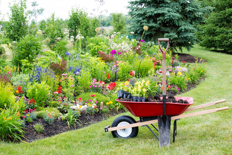 Get Your Garden Looking It’s Best This Spring with These Gardening Tips