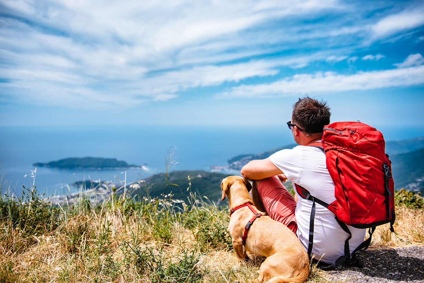 tips-for-safe-traveling-with-pet