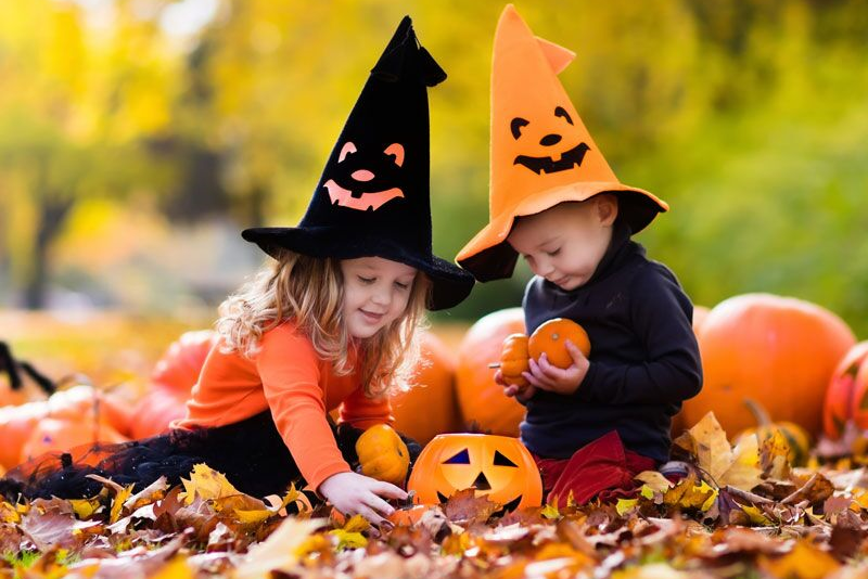 kids with halloween hats playing with pumpkins